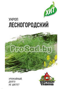Укроп Лесногородский
