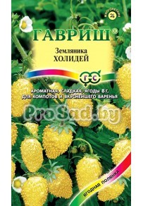 Земляника ремонтантная Холидей