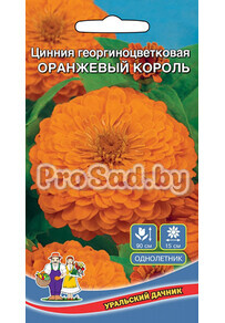 Цинния георгиноцветковая Оранжевый король