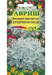 Цинерария приморская Серебряная пыль