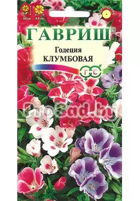 Годеция Клумбовая, смесь