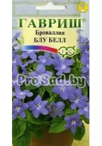 Броваллия Блу Белл