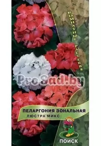 Пеларгония зональная Люстра микс