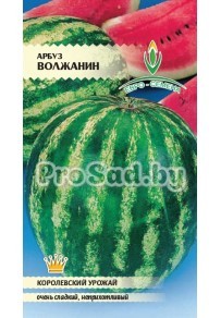 Арбуз Волжанин