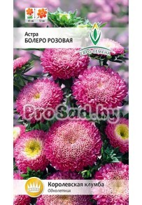 Астра Болеро Розовая