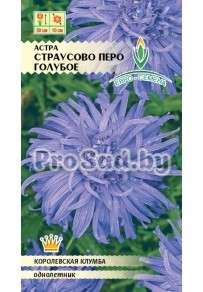 Астра Страусово перо Голубое