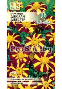 Бархатцы отклонённые махровые Джолли Джестер