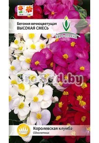 Бегония вечноцветущая Высокая смесь