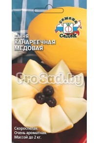 Дыня Канареечная медовая