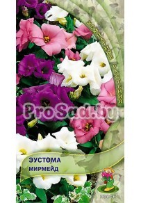 Эустома Мирмейд