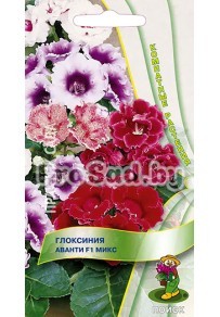 Глоксиния Аванти F1 Микс