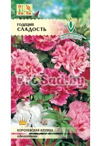 Годеция крупноцветковая Сладость