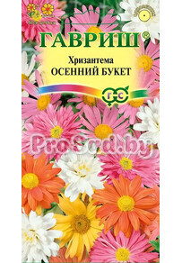 Хризантема индийская Осенний букет