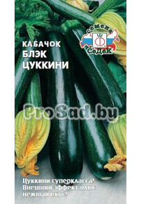 Кабачок Блэк цуккини