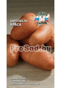 Картофель Краса