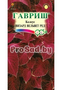 Колеус Визард Вельвет ред