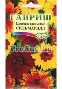 Кореопсис красильный Сильмарилл