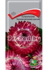 Гелихризум Королевский размер Красный