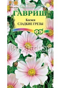 Космея Сладкие Грёзы