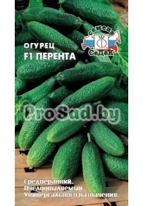 Огурец F1 Перента