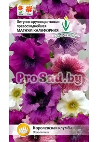 Петуния крупноцветковая превосходнейшая Магнум Калифорния