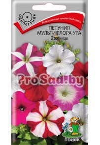 Петуния мультифлора Ура Озорница