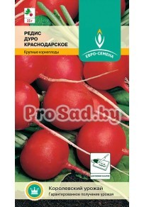 Редис Дуро Краснодарское