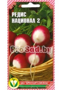 Редис Национал 2 (Франция)