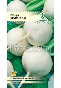 Редька Майская