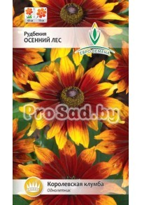 Рудбекия Осенний лес
