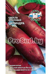 Свекла столовая Цилиндра