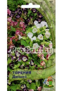 Торения Дюшес