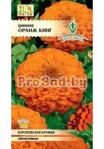Цинния Оранж кинг