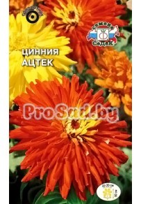 Цинния Ацтек