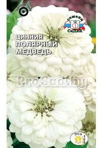 Цинния Полярный медведь