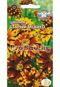 Цинния Старый Мехико
