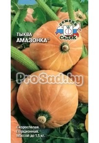 Тыква Амазонка
