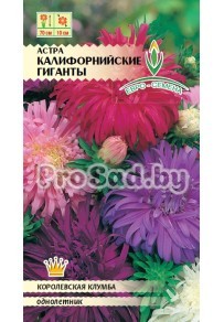 Астра Калифорнийские гиганты, смесь