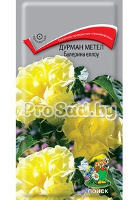 Дурман метел Балерина Еллоу