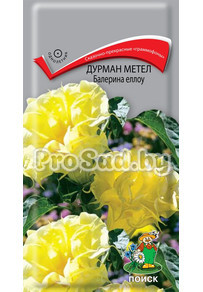 Дурман метел Балерина Еллоу