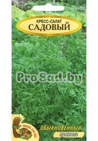 Кресс-салат Садовый