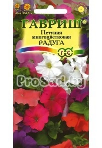 Петуния многоцветковая Радуга, смесь