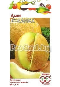 Дыня Южанка