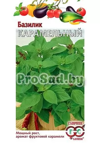 Базилик Карамельный