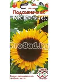 Подсолнечник Воронежский 638