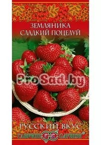 Земляника Сладкий поцелуй