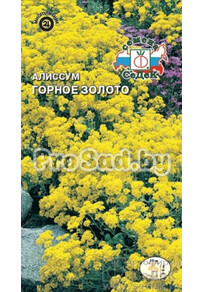 Алиссум Горное Золото