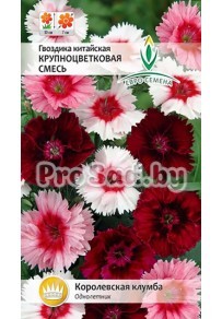 Гвоздика китайская Крупноцветковая смесь