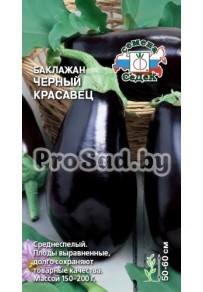 Баклажан Чёрный красавец