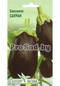 Баклажан Сауран